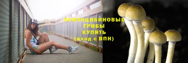крисы Арсеньев