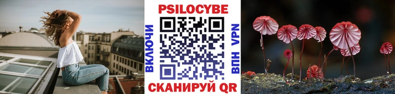 omg   Кинель  Псилоцибиновые грибы Cubensis 